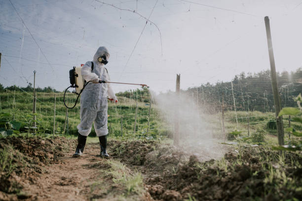 Best Pest Control Cost  in St Matthews, KY