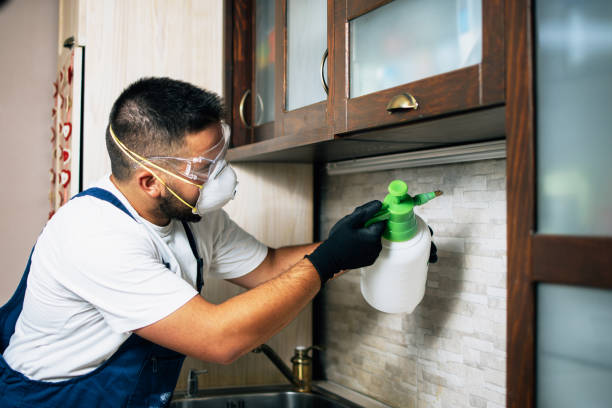 Best Wildlife Control Services  in St Matthews, KY